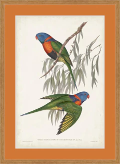 9 Molduras com Gravuras - comprar online