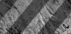 Zebra Lunar I- Jeff Medeiros - comprar online