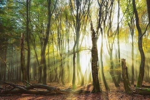 Poster paisagem