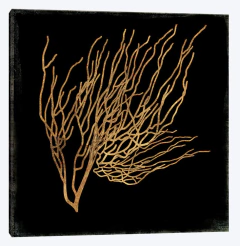 Gravura Corais do Mar para decoração