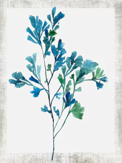 Reef Reverie I - Aimee Wilson