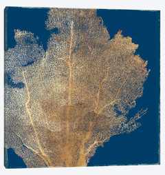gravura corais do mar para decoração