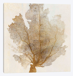 gravura corais do mar para decoração