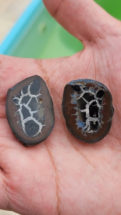 Nódulos de septariana bruta serrada - par - Orgonites e loja de artigos esotéricos