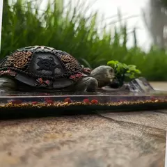 Tartaruga de Madeira Decorada sobre Orgonite – Símbolo de Proteção, Força e Harmonia - FengShui na internet