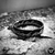 Anillo Lord of the rings ultimos talles