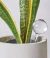 GOTA DE RIEGO GRANDE - comprar online