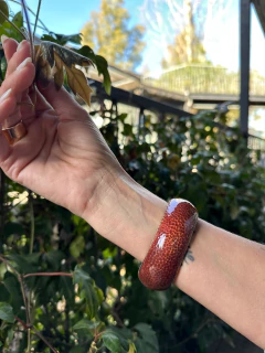 Brazalete Ronnie en internet