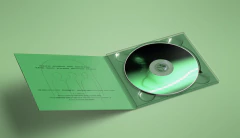 RITUAL HOWLS - RUIN (CD) na internet