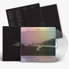 Tempers – Delusion (VINIL ULTRA CLEAR)