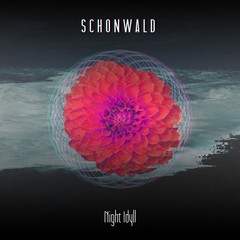 SCHONWALD - NIGHT IDYLL (CD)