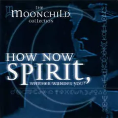 Moonchild - The Moonchild Collection (CD)
