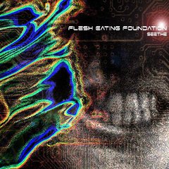 Flesh Eating Foundation ?- Seethe (CD)