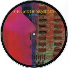 A FLOCK OF SEAGULLS - LISTEN (VINIL PICTURE)