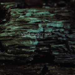 Winter Severity Index - Slanting Ray (VINIL DUPLO)