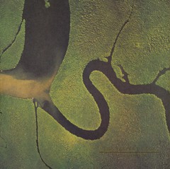 DEAD CAN DANCE - THE SERPENT´S EGG (CD)