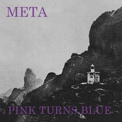 Pink Turns Blue - Meta (VINIL)