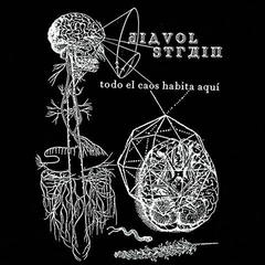 Diavol Strâin ‎– Todo el Caos habita aquí (VINIL)