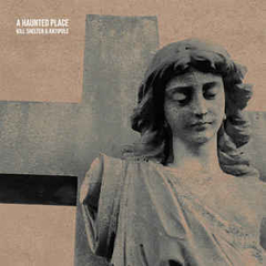 Kill Shelter & Antipole ‎– A Haunted Place (VINIL)