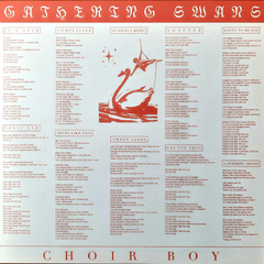 Choir Boy ‎– Gathering Swans (VINIL RED/ORANGE/BLACK SPLATTER)