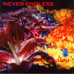 Never Endless – Never Endless (CD)