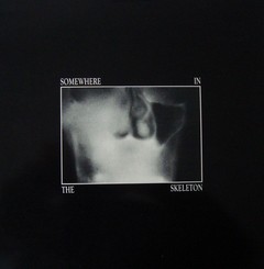 COMPILAÇÃO - SOMEHERE IN THE SKELETON (VINIL)