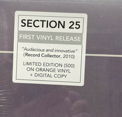 Section 25 – Retrofit (VINIL) na internet