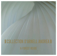 Collection D'Arnell-Andrea – A Forest Inside (VINIL)