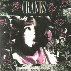 Cranes – Collected Works Volume 1 (1989-1997) (BOX 6CDS) - WAVE RECORDS - Alternative Music E-Shop