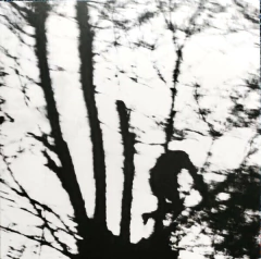 Cindytalk – Camouflage Heart (CLEAR VINIL 2025)