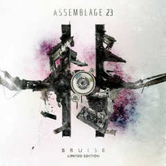 Assemblage 23 – Bruise (CD DUPLO)