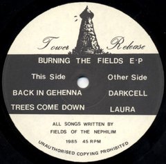 Fields Of The Nephilim - Burning The Fields EP (VINIL) na internet