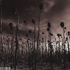 Dead Can Dance - Anastasis (VINIL DUPLO) - comprar online