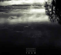 Desiderii Marginis - Thaw (CD)