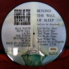 Fields Of The Nephilim – Beyond The Wall Of Sleep (And Into The Dreamlands) (VINIL PICTURE) - comprar online