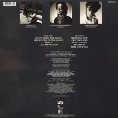 The Waterboys ?- This Is The Sea (VINIL) - comprar online