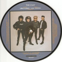 THE CULT - WILD FLOWER (7" VINIL PICTURE) - comprar online