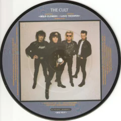 THE CULT - WILD FLOWER (7" VINIL PICTURE) - comprar online