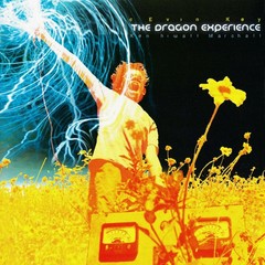 CEVIN KEY (SKINNY PUPPY) - THE DRAGON EXPERIENCE (VINIL) - comprar online