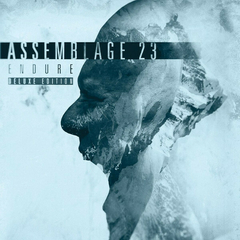 Assemblage 23 – Endure (CD DUPLO)