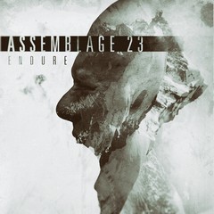 ASSEMBLAGE 23 - ENDURE (VINIL)