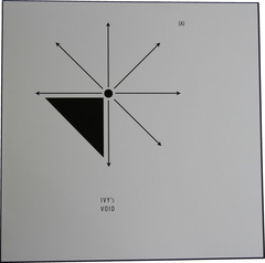 Ivy's Void (BLEIB MODERN PROJECT) ‎– Ivy's Void (VINIL)