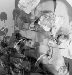 Anillos SELLO S - nipper