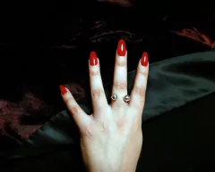 Anillo 00 en internet