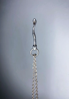 COLLAR COBRA na internet