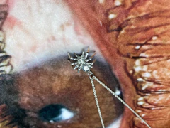 COLLAR ARAÑA en internet