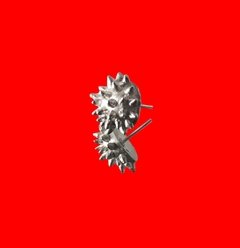 Aro CICUTA - comprar online