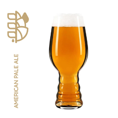 Kit American Pale Ale 20lt