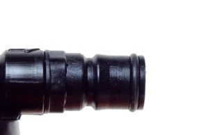 CANECTOR KEGGI MACHO KEGGI