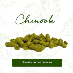 Chinook en internet